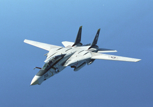 Палубный истребитель - Grumman F-14 Tomcat (1 часть)