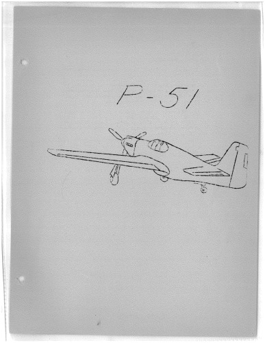 P-51 Curriculum