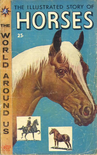 The Illustrated Story of Horses 