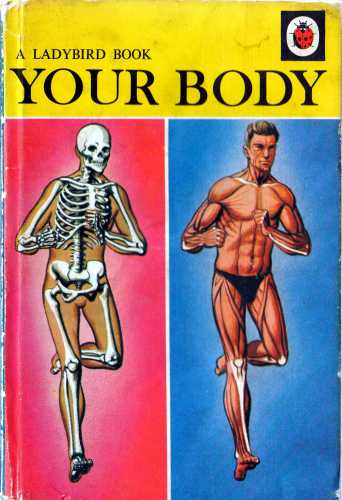 Your Body 