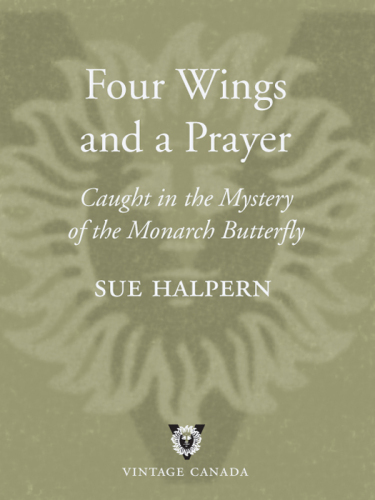 Four Wings and a Prayer: Caught in the Mystery of the Monarch Butterfly