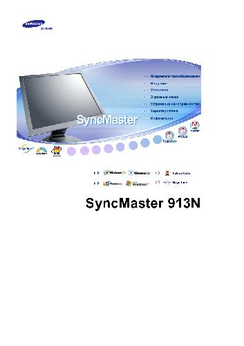 SyncMaster 913N