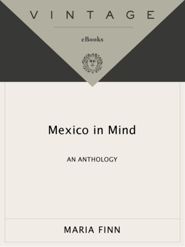 Mexico in Mind