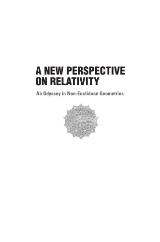 A new perspective on relativity : an odyssey in non-Euclidean geometries