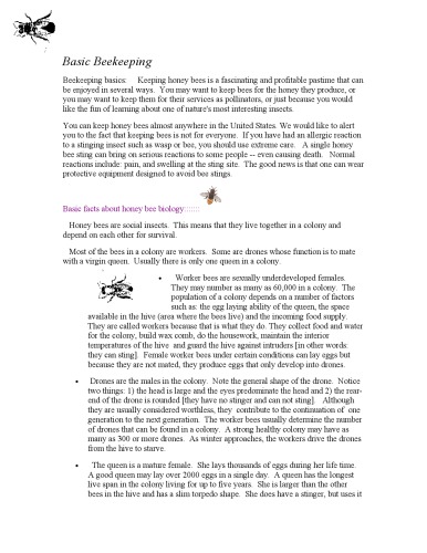 Beekeeping basics