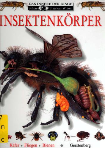 Insektenk rper