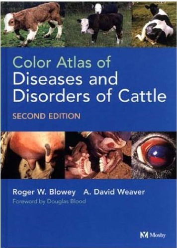 Color Atlas of Diseases and Disorders of Cattle