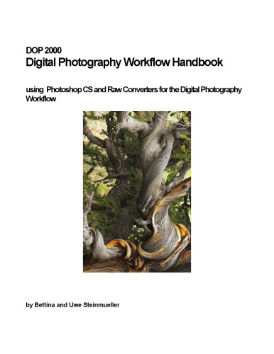 DOP 2000 Digital Photography Workflow Handbook - using Photoshop CS and Raw Converters for the Digital Photography Workflow  Bettina and Uwe Steinmueller