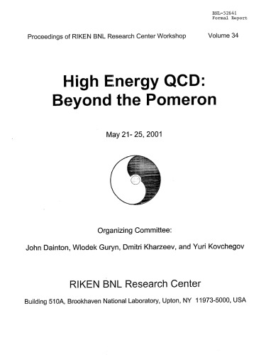 High Energy QCD - Beyond the Pomeron [RIKEN BNL Workshop proc]