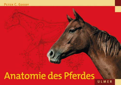 Anatomie des Pferdes