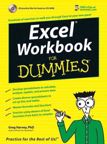 Excel Workbook For Dummies®