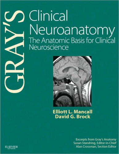 Gray's clinical neuroanatomy : the anatomic basis for clinical neuroscience