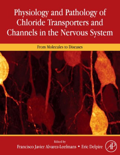 Physiology and pathology of chloride transporters and channels in the nervous system : from molecules to diseases