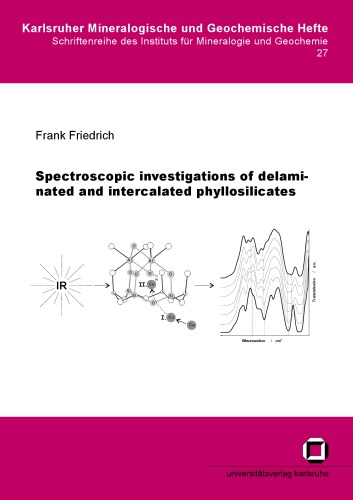 Spectroscopic investigations of delaminated and intercalated phyllosilicates