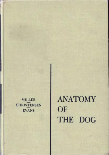 Anatomy of the dog