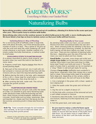 Naturalizing bulbs