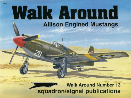 Walk around : Allison engined Mustangs