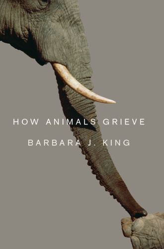 How Animals Grieve