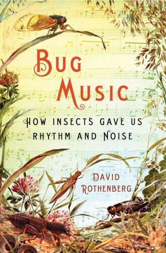 Bug music: How insects gave us rhythm and noise