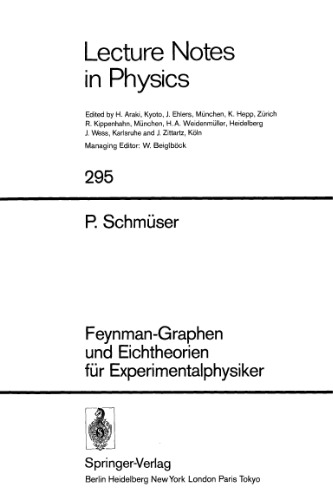 Feynman-Graphen und Eichtheorien für Experimentalphysiker