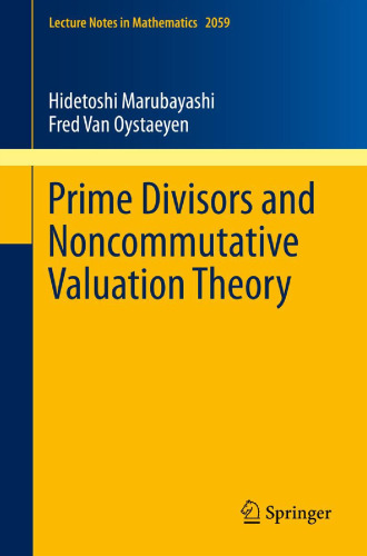 Prime divisors and noncommutative valuation theory