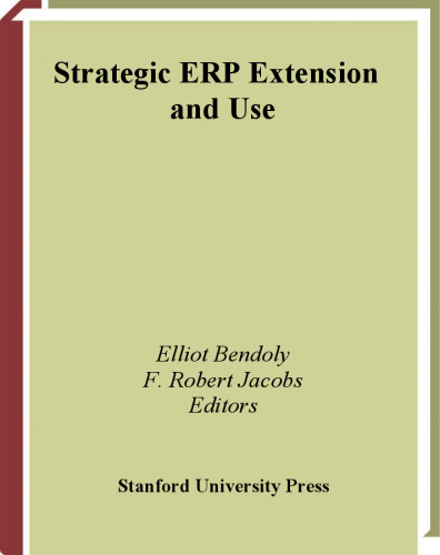 Strategic ERP Extension and Use