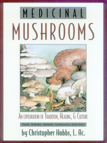 Medicinal mushrooms: an exploration of tradition, healing & culture