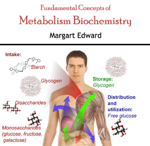 Fundamental concepts of metabolism biochemistry