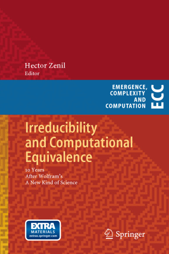 Irreducibility and Computational Equivalence: 10 Years After Wolfram's A New Kind of Science