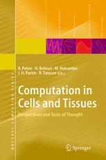 Computation in Cells and Tissues: Perspectives and Tools of Thought