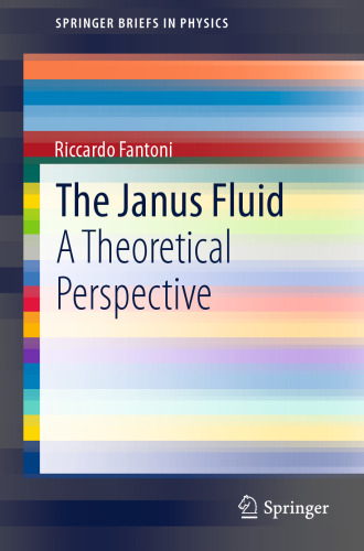 The Janus Fluid: A Theoretical Perspective