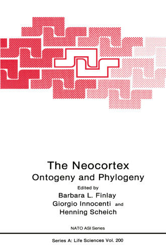 The Neocortex: Ontogeny and Phylogeny