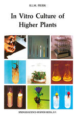 In Vitro Culture of Higher Plants