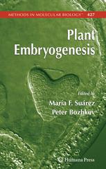 Plant Embryogenesis